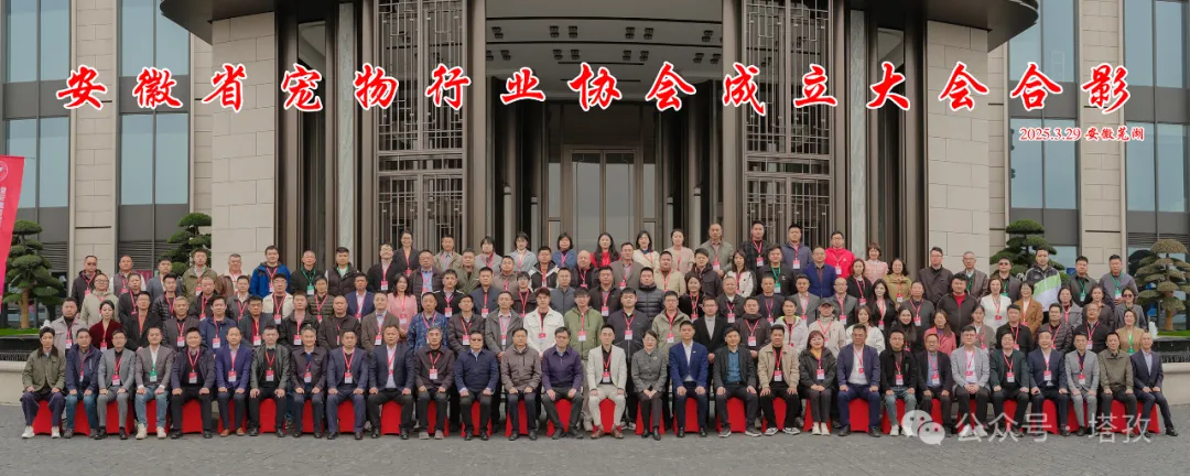 寵都平臺(tái)成為安徽省寵物行業(yè)協(xié)會(huì)理事單位，開(kāi)啟寵物產(chǎn)業(yè)新征程